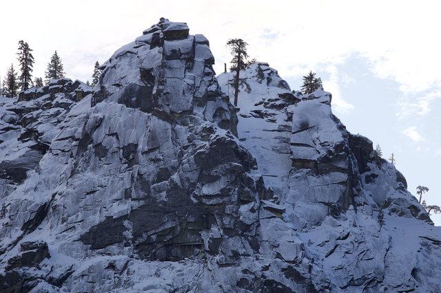 Snow-Covered Rocky Summit with Sentinel Trees