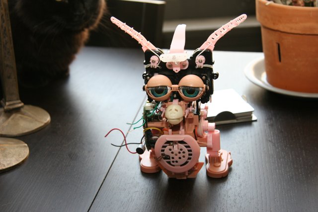 Robo-Cat Companion