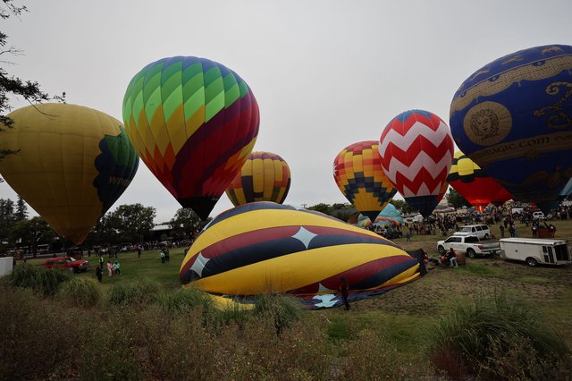 Colorful Hot Air Balloons Rising at Sonoma Classic