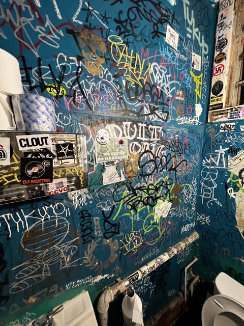 ﻿The Art of Bathroom Graffiti