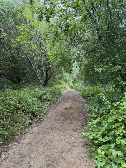 Nature's Pathway