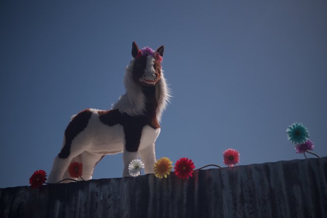 Majestic Horse on Flower Wall