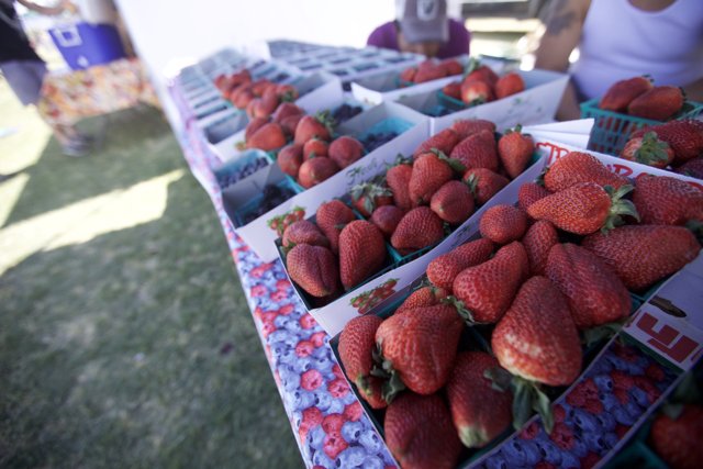 Strawberry Delight at Coachella