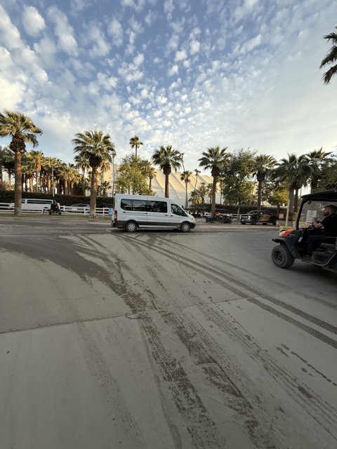 Urban Oasis in Motion