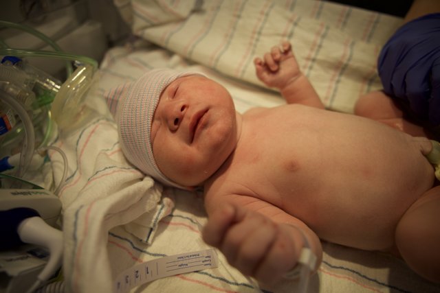 Welcome to the World, Leland