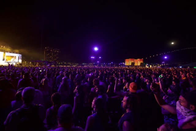 Night Sky Illuminates the Concert Crowd