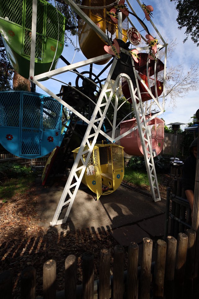 Colorful Miniature Ferris Wheel in Backyard Setting