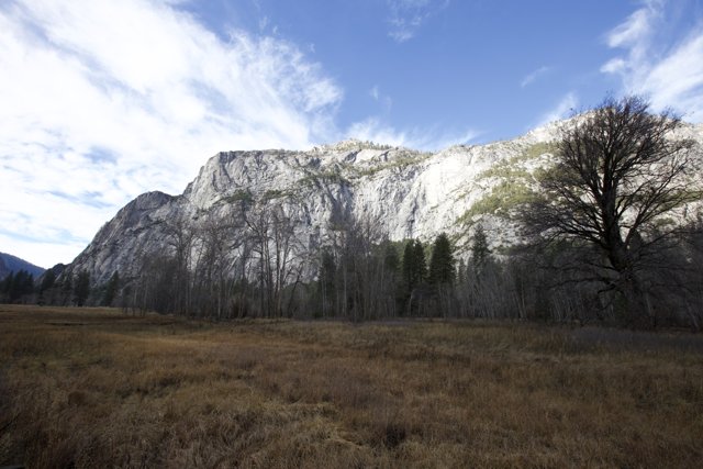 Yosemite's Winter Wonderland: A Distant Mountain View