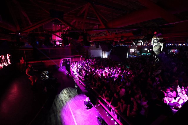 Wobbleland 2026 Festival Crowd Erupts in Purple Light