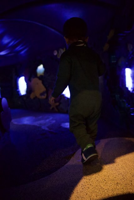 Enchanted Journey through the Illuminated Blue Tunnel