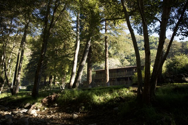 Forest Haven: The Serene Cabin in Big Sur