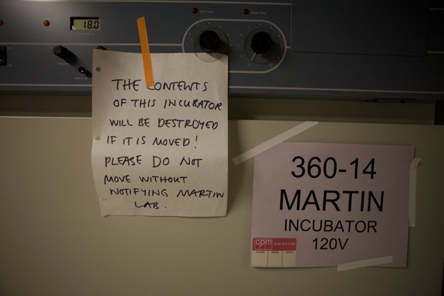 Warning Sign at UCLA Laundry Room