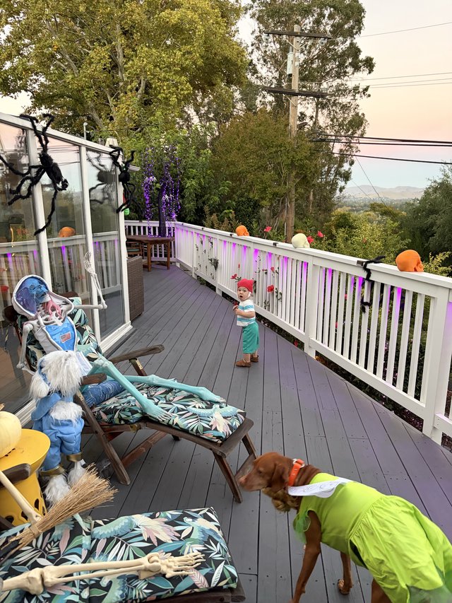 Halloween Deck Party with Decorated Dogs and Spooky Decor