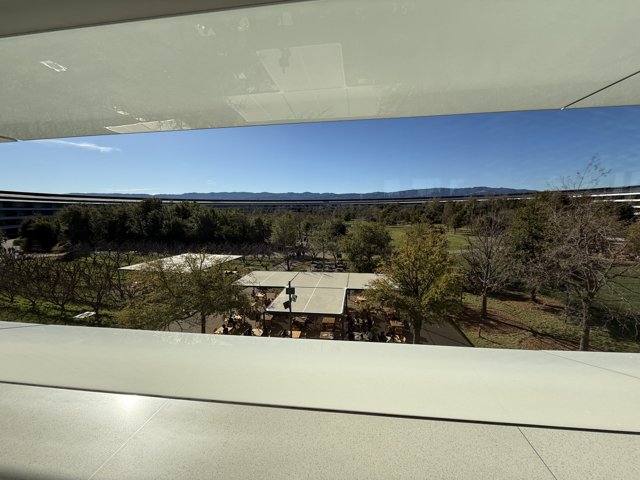 Tranquility at Apple Park