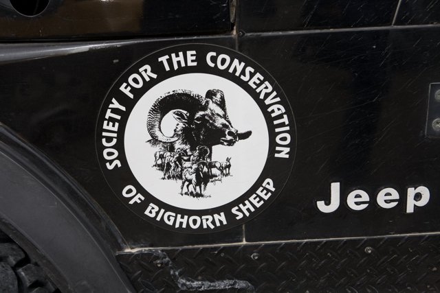 Society for the Conservation of Bighorn Sheep Emblem on Jeep