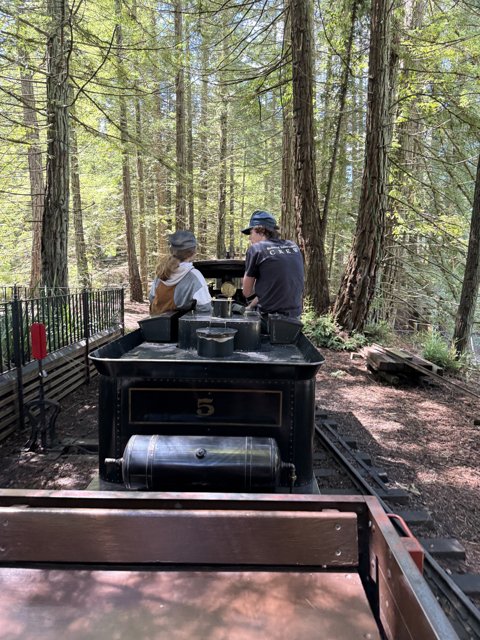 Journey Through Tilden's Woodland