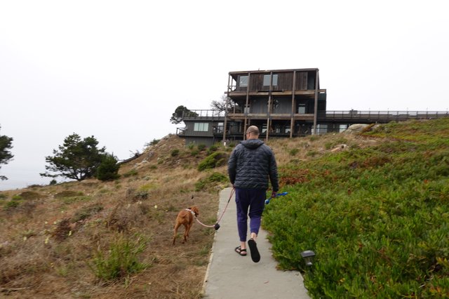 Man Walking Dog on Coastal Trail