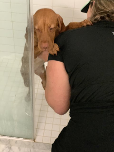 Shower Time With My Furry Bestie