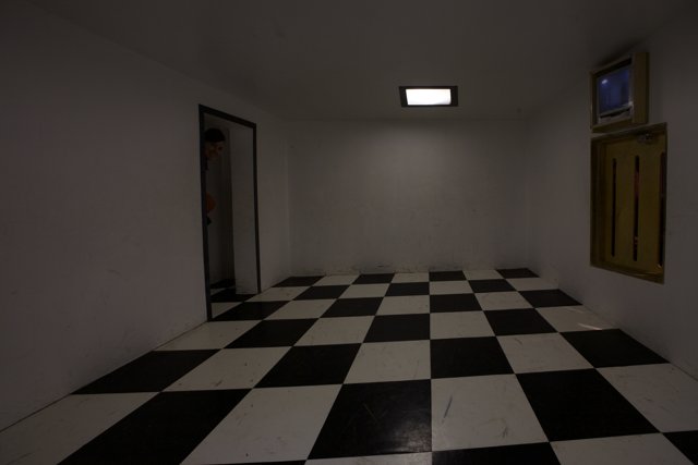 Checkered Floor in a Modern Living Room