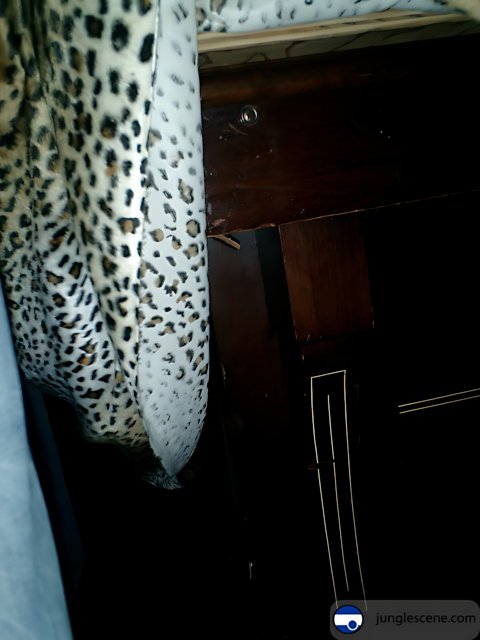 Wild Dreams on a Leopard Print Bedspread