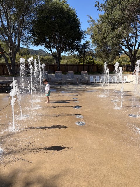 Splash of Joy