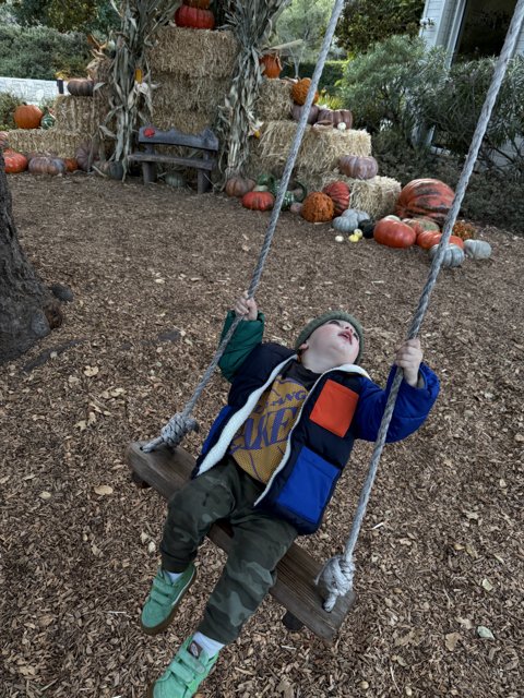 Autumn Adventures in Carmel