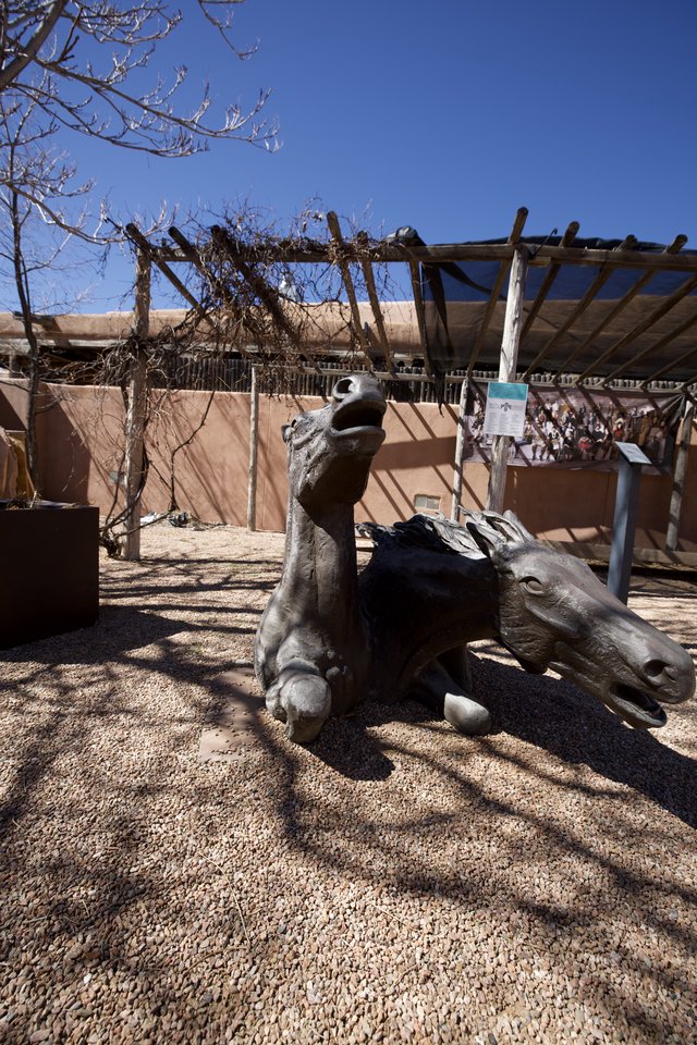 Bronze Horse Sculptures at Adobe Courtyard in Santa Fe