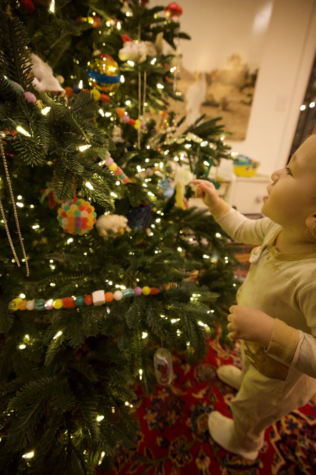 Toddler's Wonder at Christmas Tree Decorations