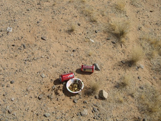Abandoned Soda on the Ground