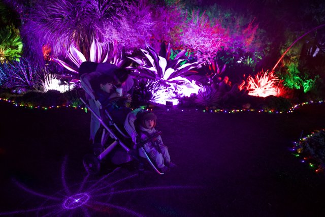 Luminous Night Wonders
