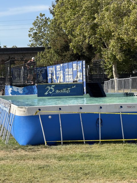 Dive into Summer Fun
