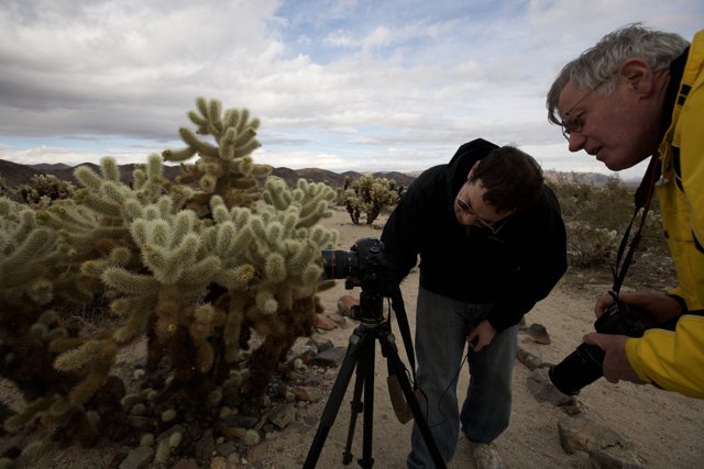 Capturing the Cactus