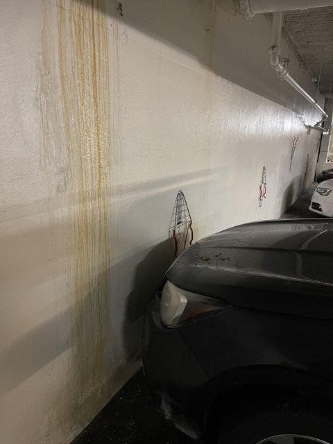 Parked Car in Yellow-Lined Garage
