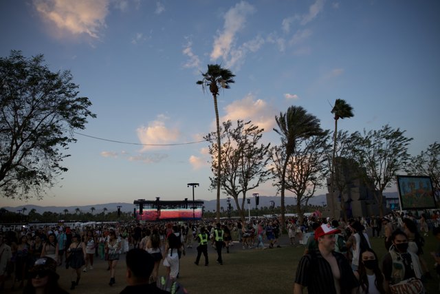 Sunset Vibes at Coachella 2024
