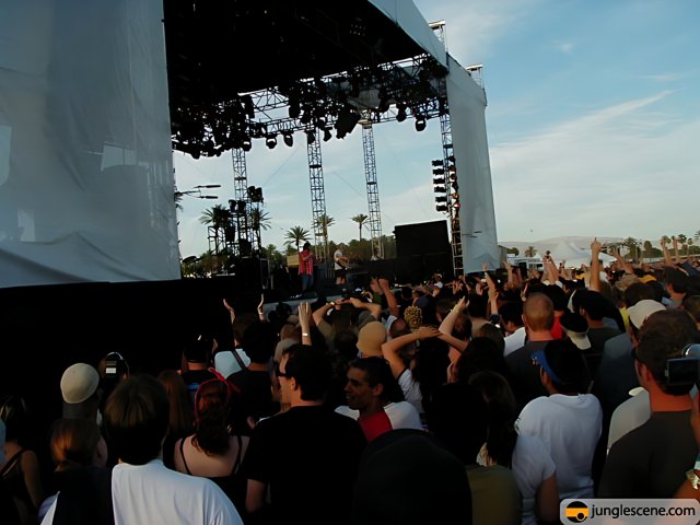 Hands Up in the Crowd at Coachella 2002