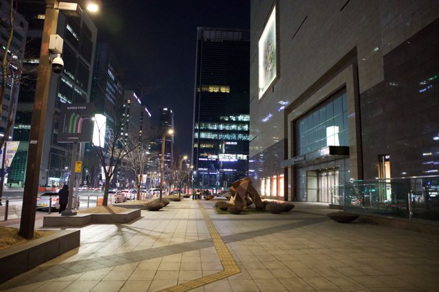 The Dynamic Pulse of Korea's Metropolis at Night