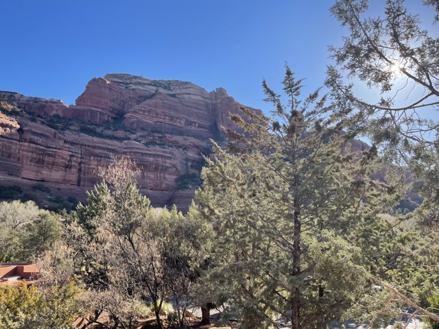 A Majestic View of Sedona's Red Rocks