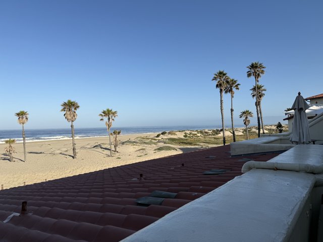 A Tranquil Morning by the Sea