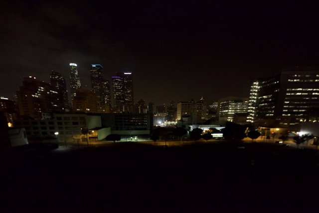Night Lights in the Metropolis