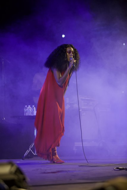 Solange Takes the Stage in Red Dress