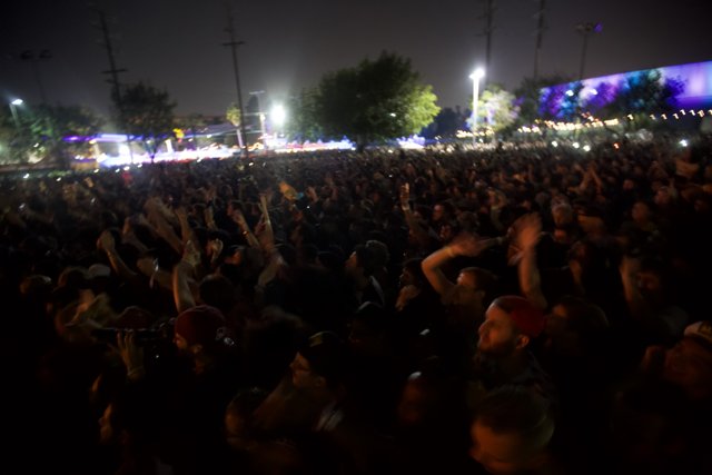 Night-time crowd at a concert in Los Angeles