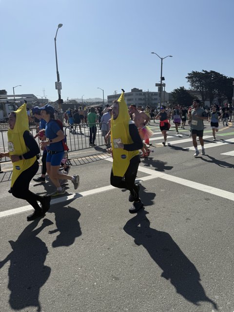Banana Brigade at the Bay