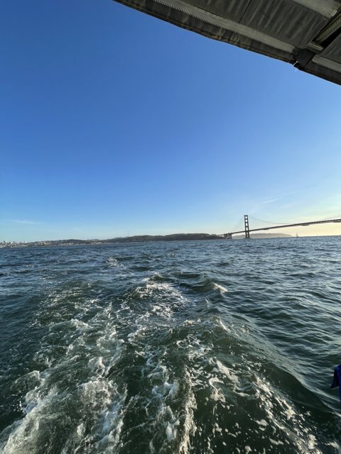 Serenity on the San Francisco Bay