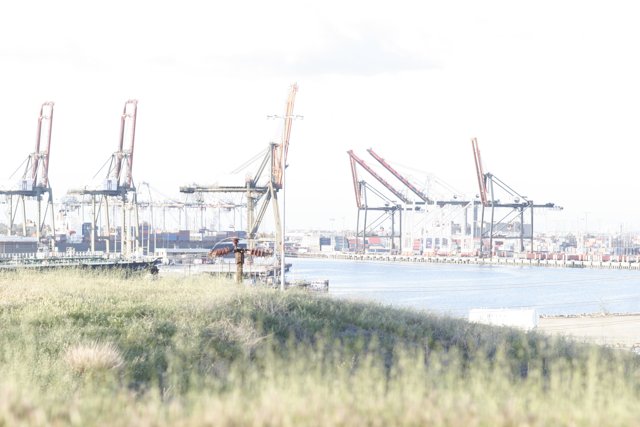 Construction Crane overlooking Waterfront Field