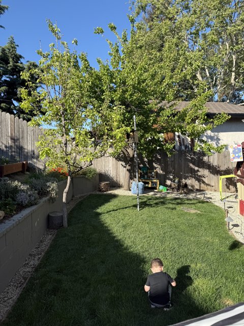 Springtime Exploration