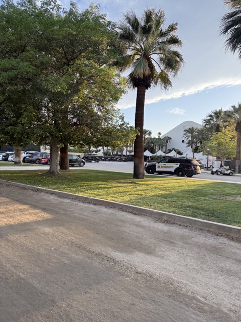 Serenity in Indio