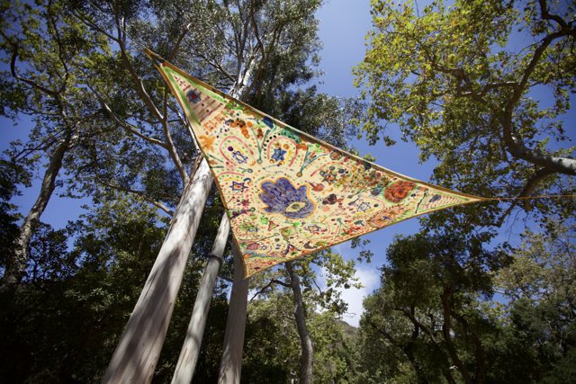 Colorful Kite Flying High in the Tree Tops