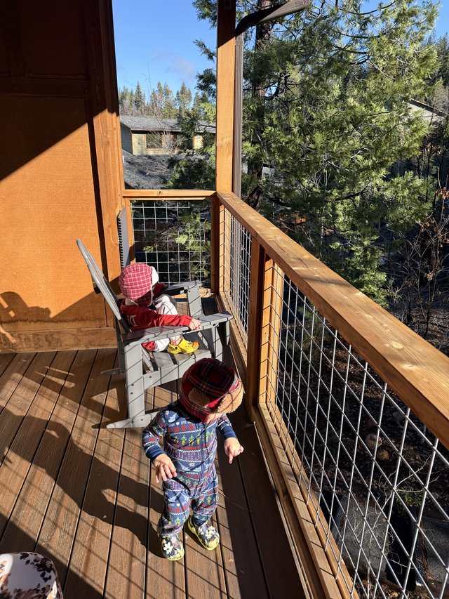 Toddlers Exploring a Snowy Mountain Cabin Deck