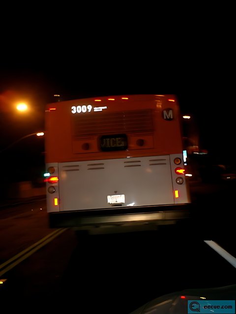 Nighttime Bus Tour