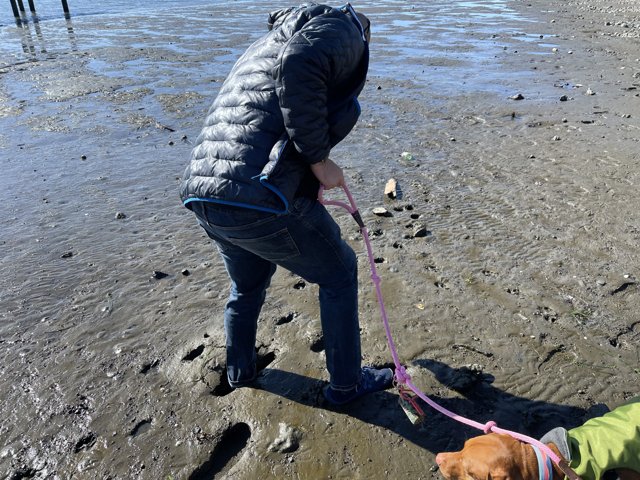 Beachside Stroll with Furry Companion